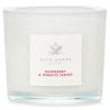 ACCA KAPPA - Scented Candle - Raspberry & Tomato Leaves 3578 / 028353 180g/6.34oz