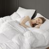 Overfilled Down Alternative Comforter